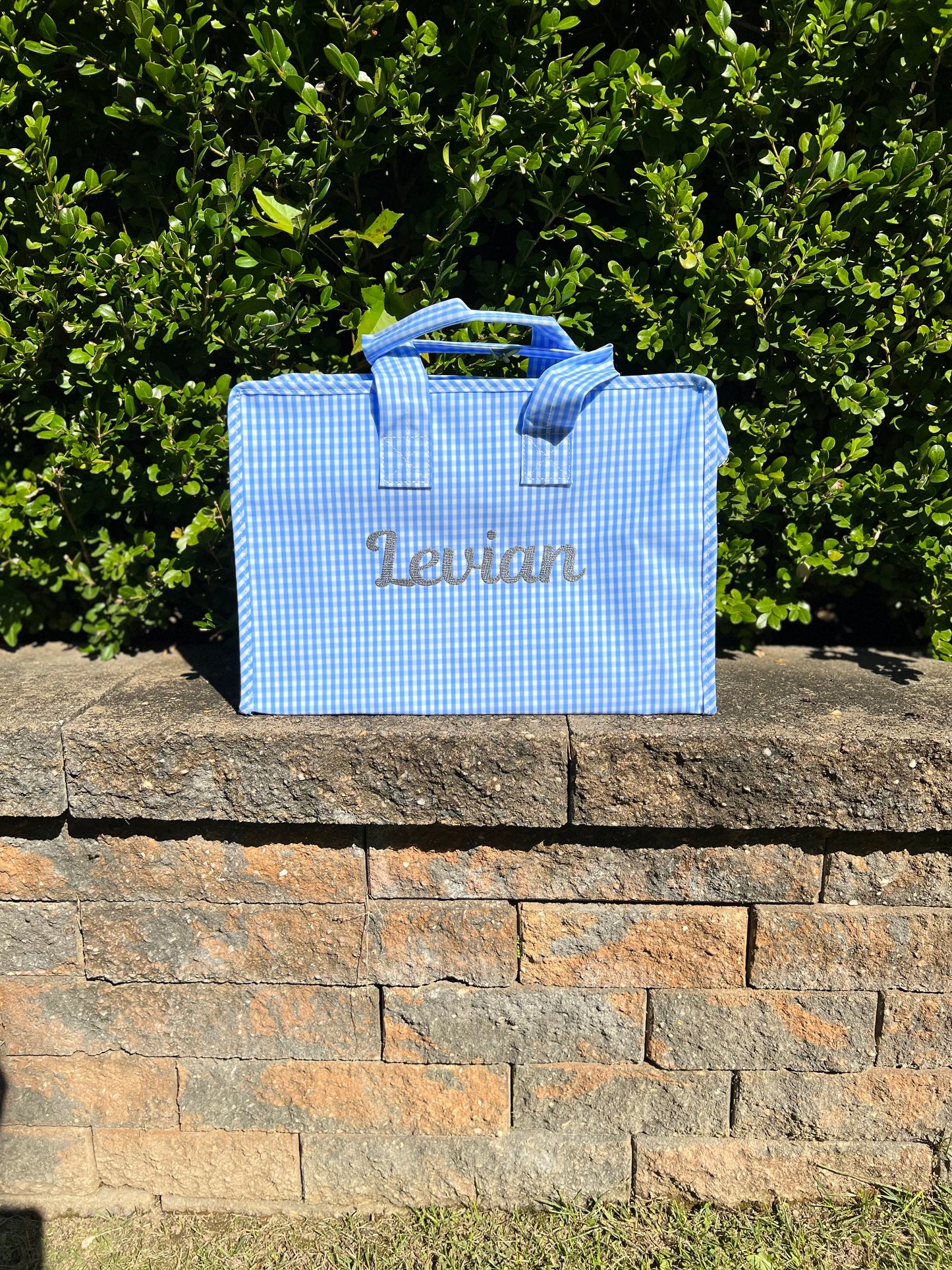 Zip Tote | The Aliza Collection