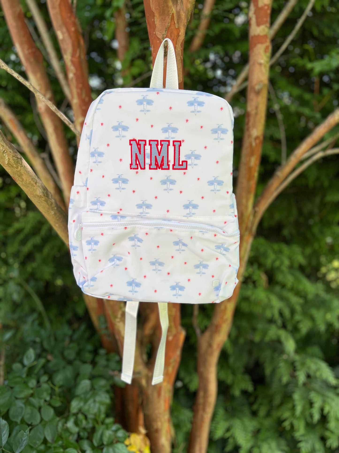 Standard Backpack | The Aliza Collection
